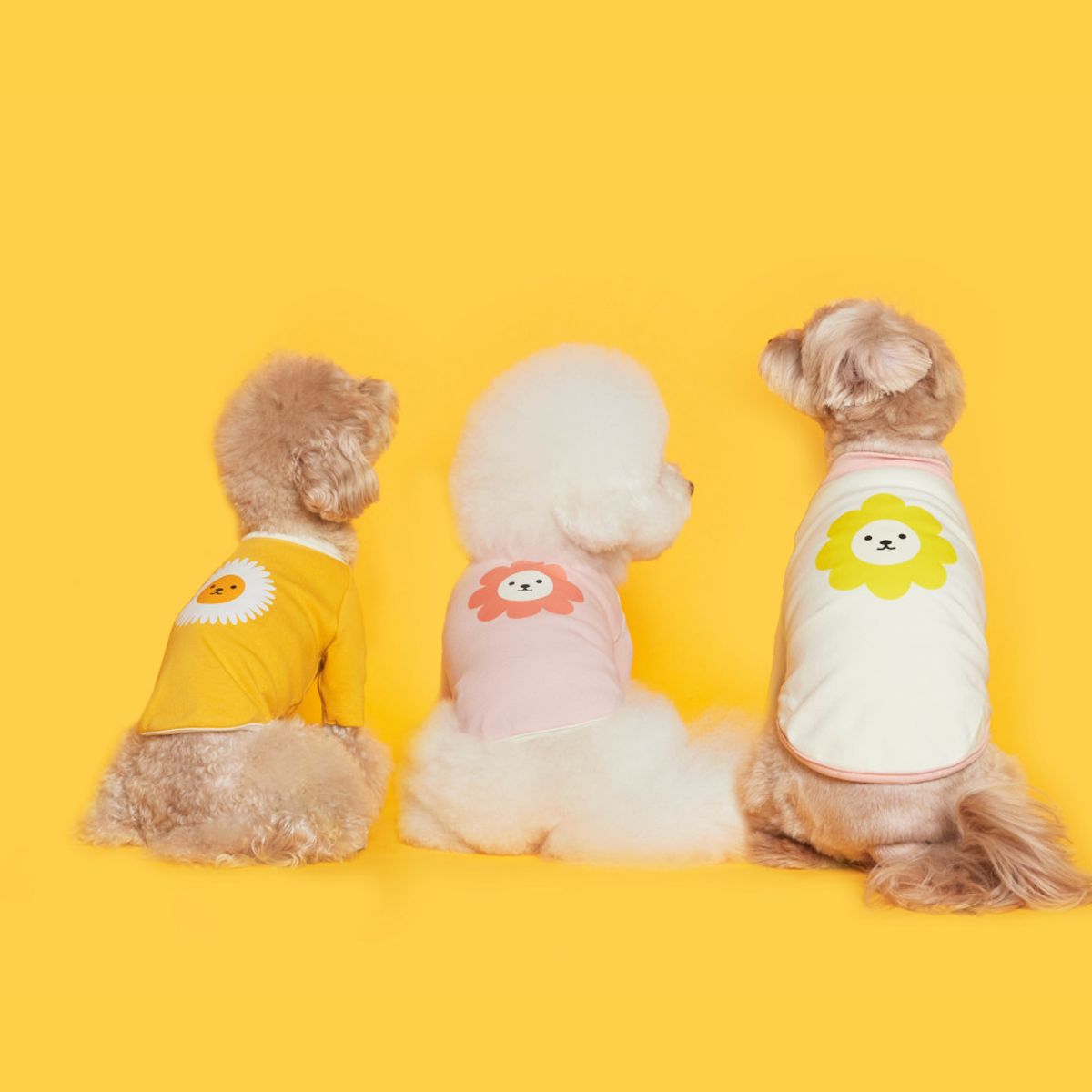 플로트(FLOT) 플라워독 티셔츠 3컬러 강아지옷