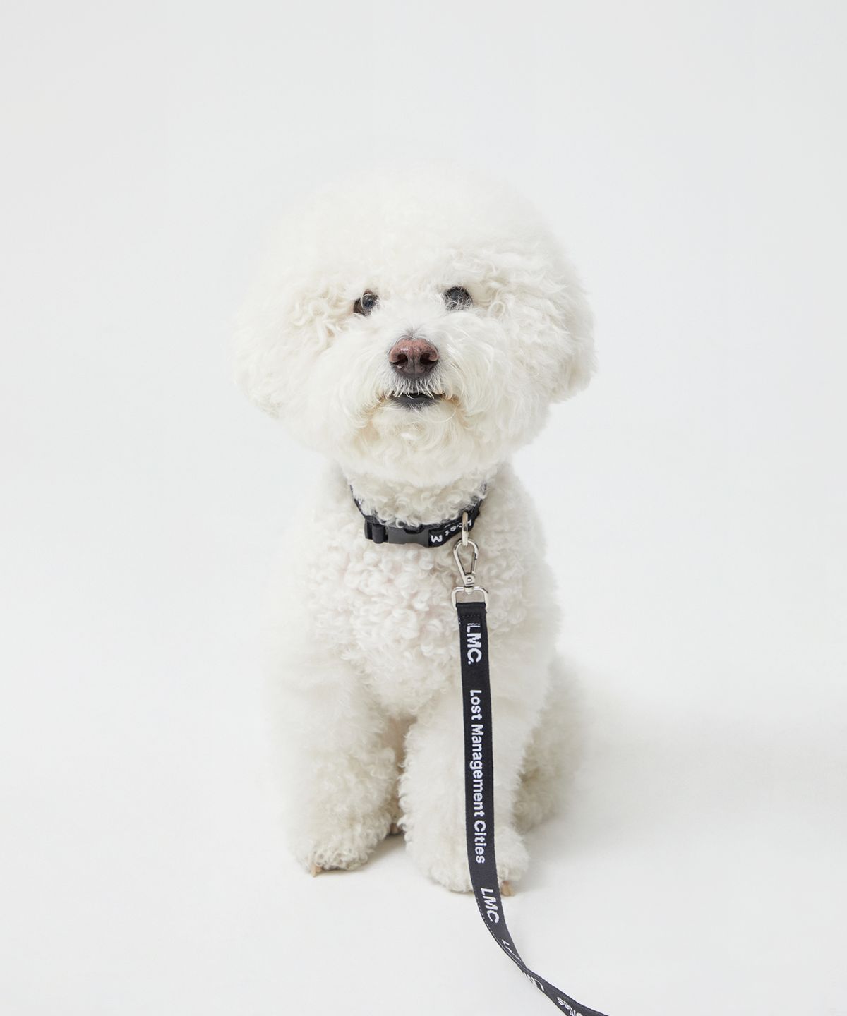엘엠씨(LMC) LEASH & COLLAR black