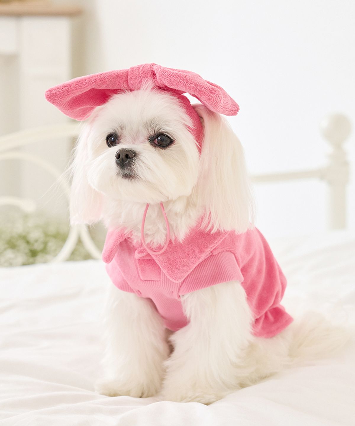 마이리틀독(MY LITTLE DOG) 다우니 테리 피케 크롭탑[2color]