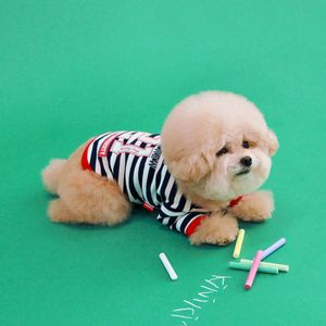 월드 리그 스트라이프 반팔티 - 블랙