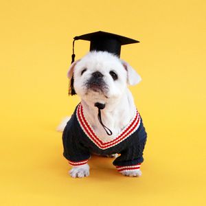 트위스트 로고 브이넥 반팔티 - 네이비