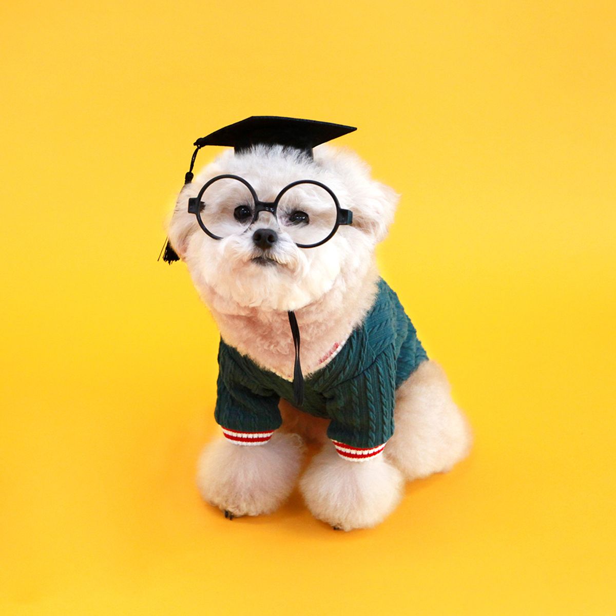 키니키니(KINIKINI) 트위스트 로고 브이넥 반팔티 - 그린