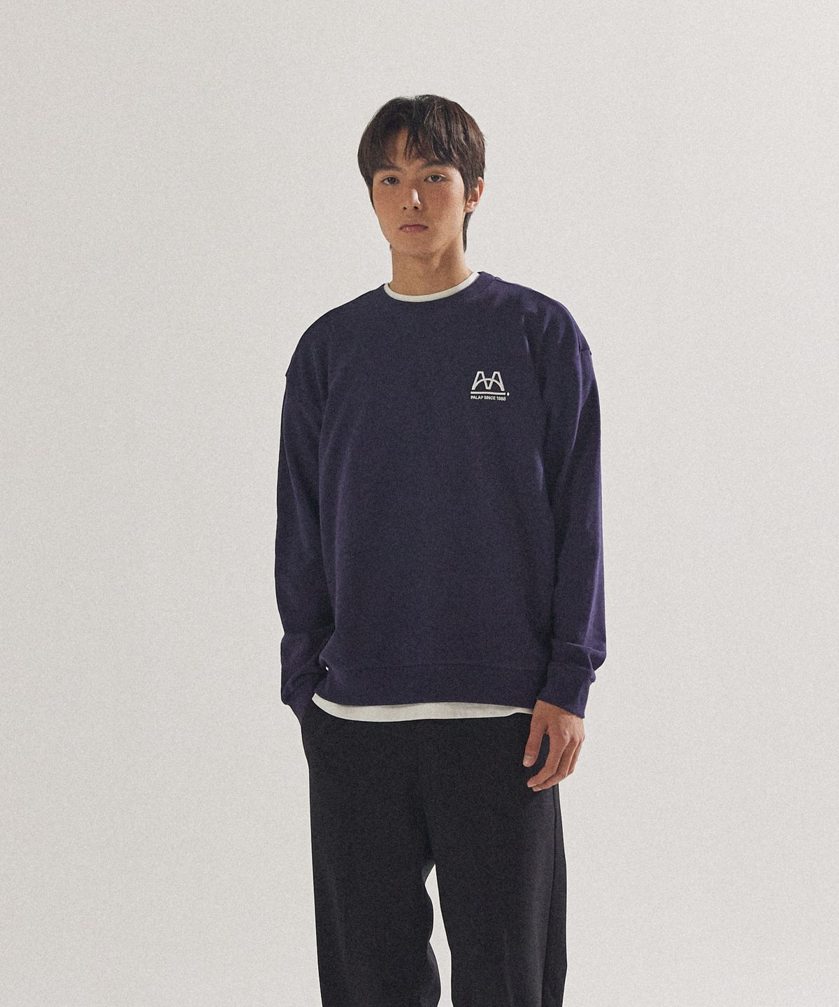 팔랩(PALAP) 에센셜 자수 포인트 오버핏 맨투맨 티셔츠_PL24S3MT003_NV