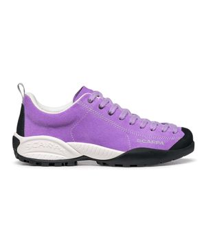 모히토 - VIOLET TULIP / DFOXU32605