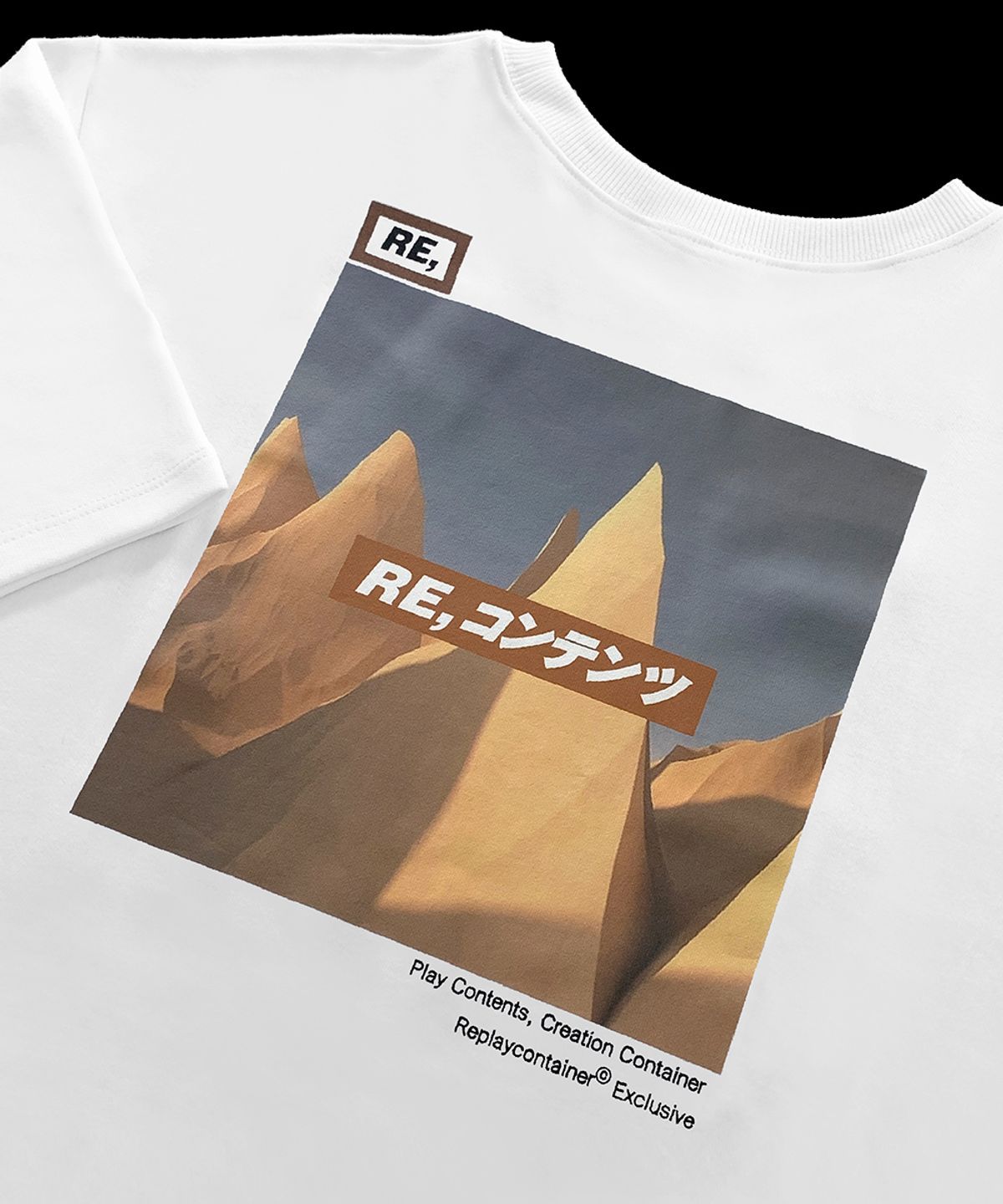 리플레이컨테이너(REPLAY CONTAINER) RE square campaign half tee (brown)
