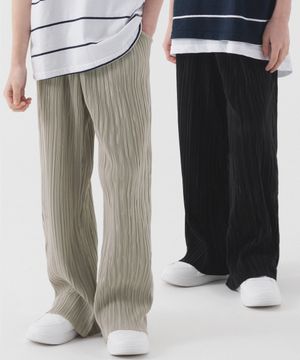 [2 PACK] 세미 와이드 밴딩 플리츠팬츠 (3color)
