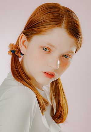 미니 로즈 시스루 스크런치 (브라운)