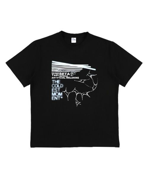 Tシャツ・カットソー THE COLDEST MOMENT TCM melanine T grey thecoldestmoment
