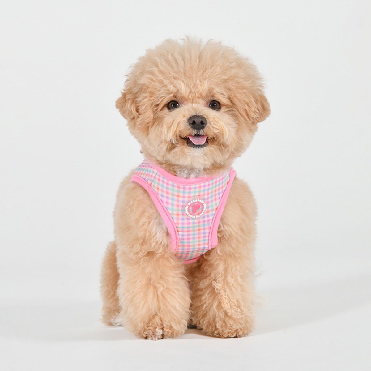 퍼피아(PUPPIA) 엘라 B 하네스 (NAYA-HB7808)
