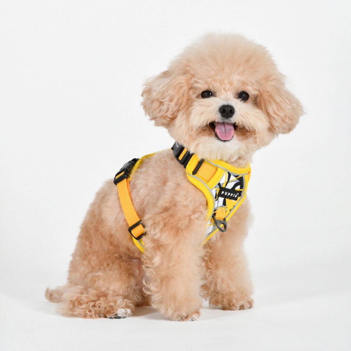 퍼피아(PUPPIA) 페인트팝 하네스 H (PAYA-HH2100)