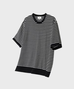 클레마티스 스트라이프 하프니트 블랙