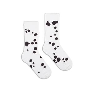 Dalmatian 0601