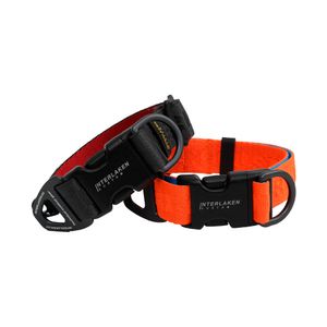인터라켄 어스텍 스탠다드 강아지 목줄