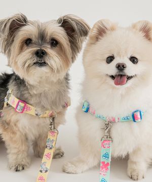 바잇미X포코리프렌즈 어드벤처 앞섬방지 이지 하네스 (3 colors)