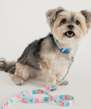 바잇미X포코리프렌즈 어드벤처 리쉬 (3 colors)