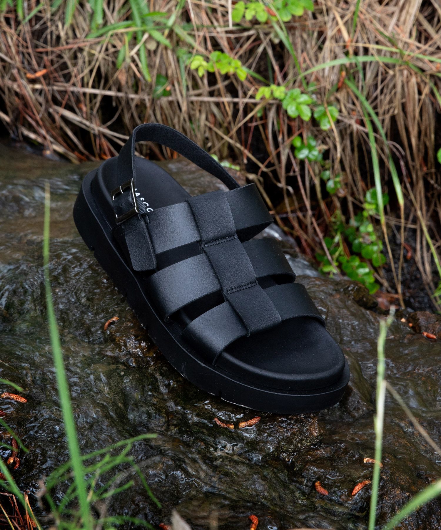 PASCOROZEN ■ MS6395 Lake Strap Sandals MUSINSA | PASCOROZEN MS6395 Lake Strap Sandals