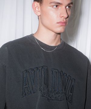 어비드 피그먼트 반팔티셔츠 딥그레이 SHST6791