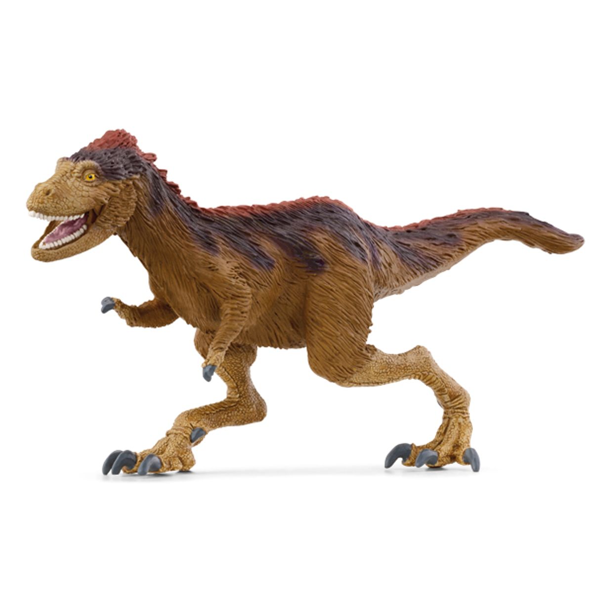 슐라이히(SCHLEICH) 모로스 인트레피두스