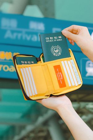 본보야지 패스포트 RFID차단 안티스키밍 여권 케이스 지갑 - 허니블랙