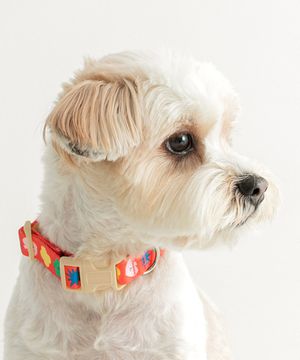 바잇미X피피피스튜디오 목줄 (2 colors)