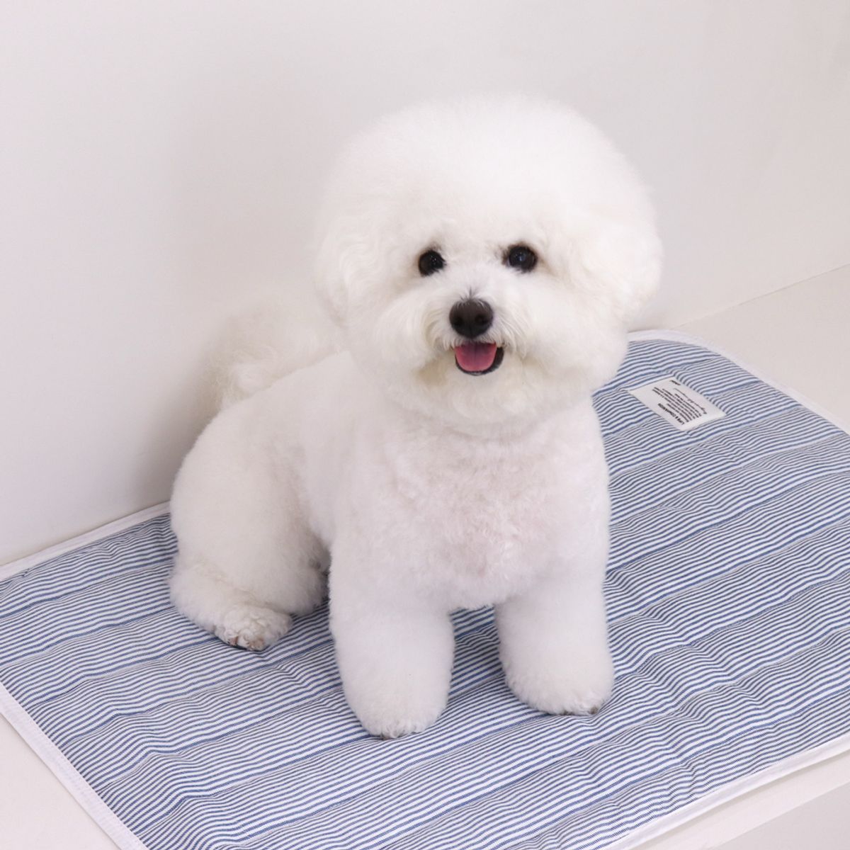 쉬오트(CHIOT) 리프레쉬 인견 쿨매트 (블루)