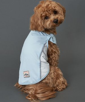 강아지여름옷 쿨링 아이스 쿨티 블루