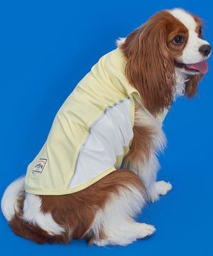 강아지여름옷 쿨링 아이스 쿨티 옐로우