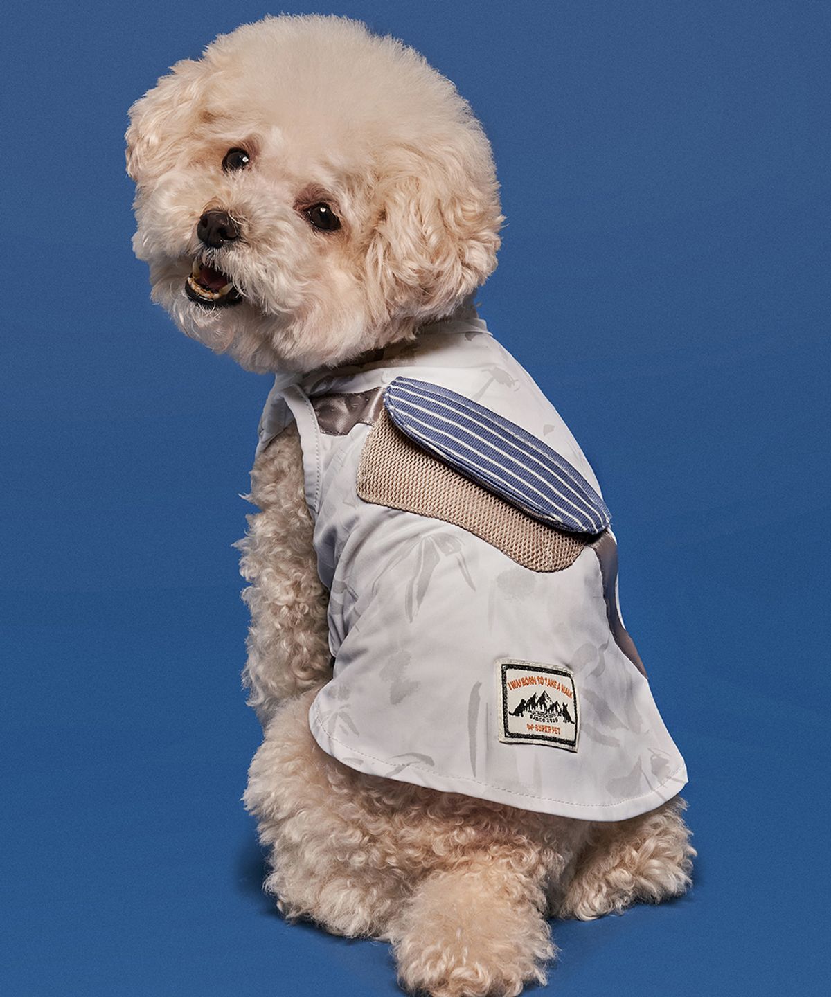도그아이(DOGI) 강아지여름옷 쿨링 포켓쿨팩티 그레이