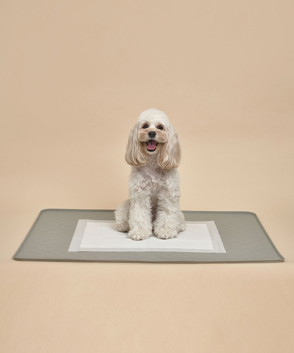 도그아이(DOGI) 반려동물 논슬립 실리콘 배변매트