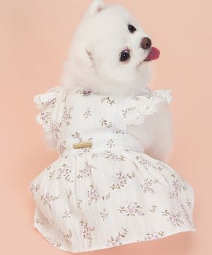 강아지 랏셀 원피스 바이올렛