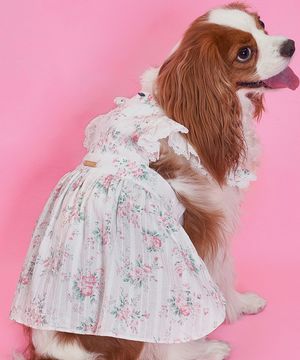 강아지 랏셀 원피스 에메랄드