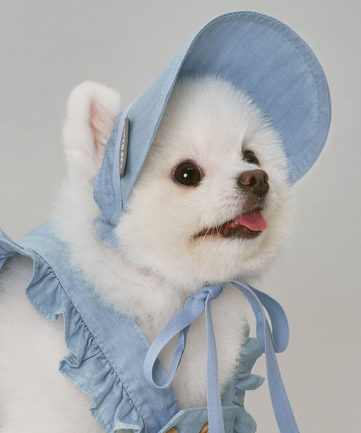 도그아이(DOGI) 강아지 데님썬캡 연청