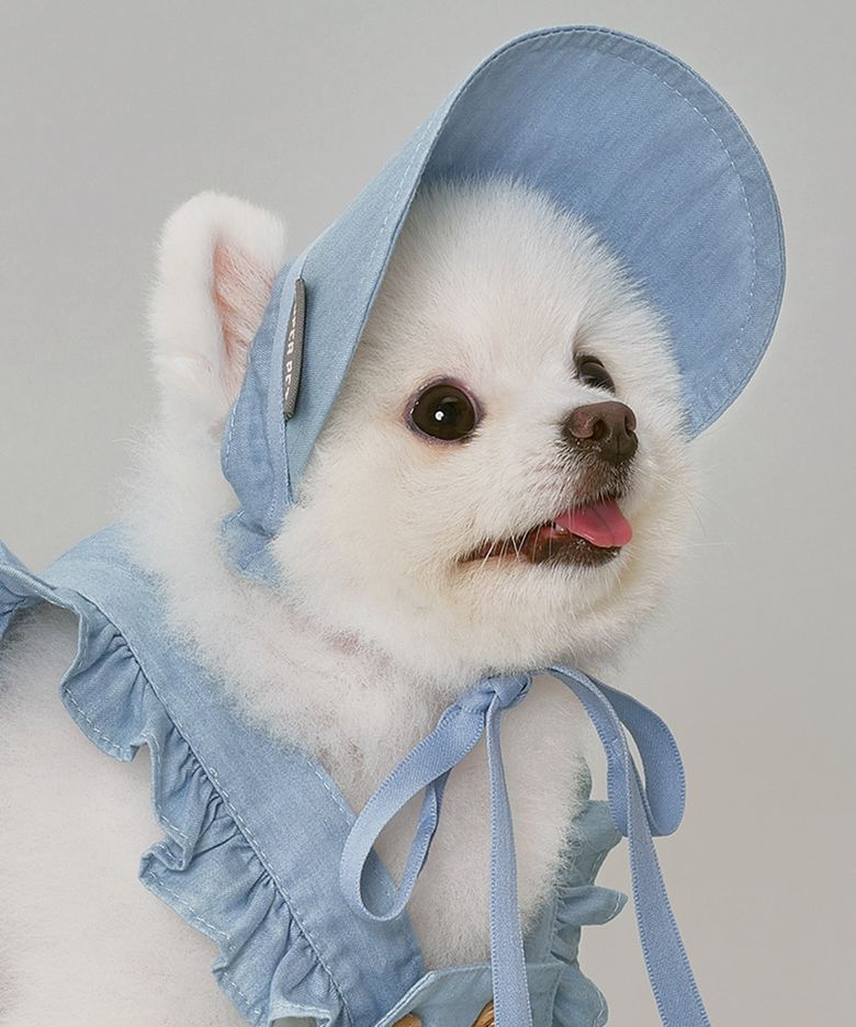 강아지 데님썬캡 연청