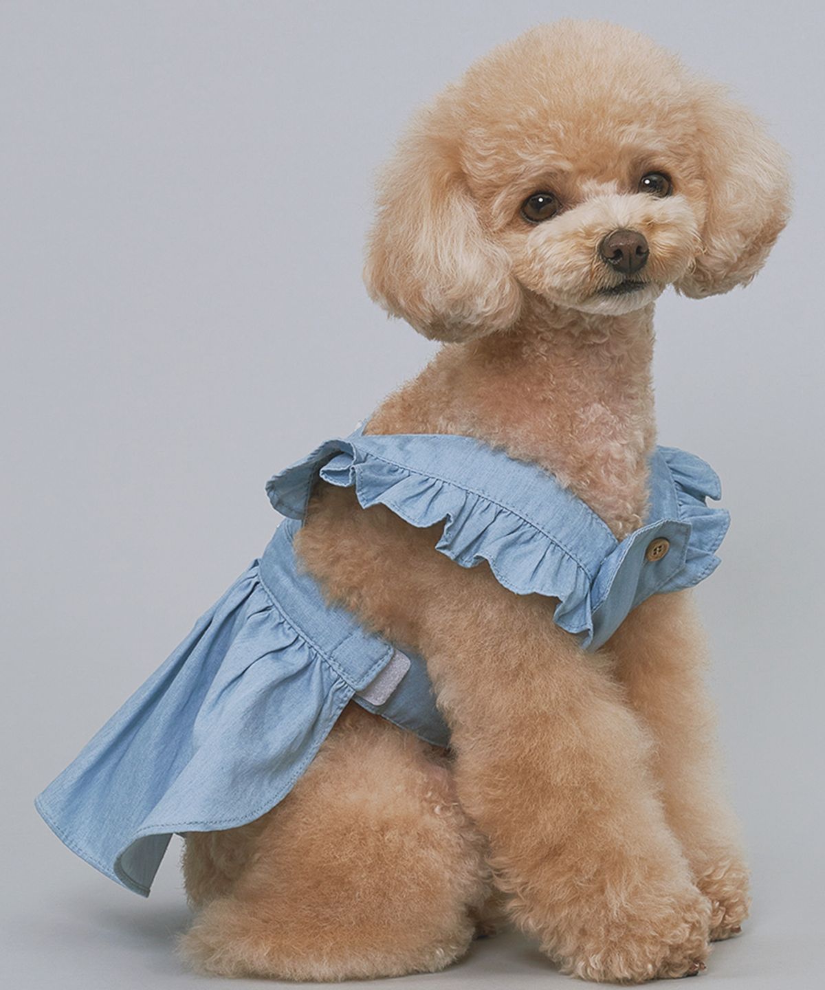 도그아이(DOGI) 강아지 데님 원피스 연청