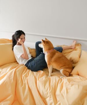 반려동물과 함께 쓰는 펫블리 옥수수솜 차렵이불 세트 2colors(SS/Q)