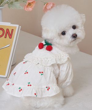 강아지 체리 코코 원피스 화이트