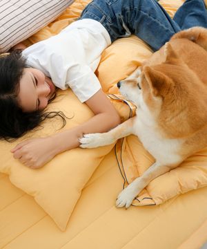 반려동물과 함께 쓰는 펫블리 옥수수솜 베개커버 2colors(50X70)