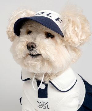 강아지모자 골프썬캡 네이비