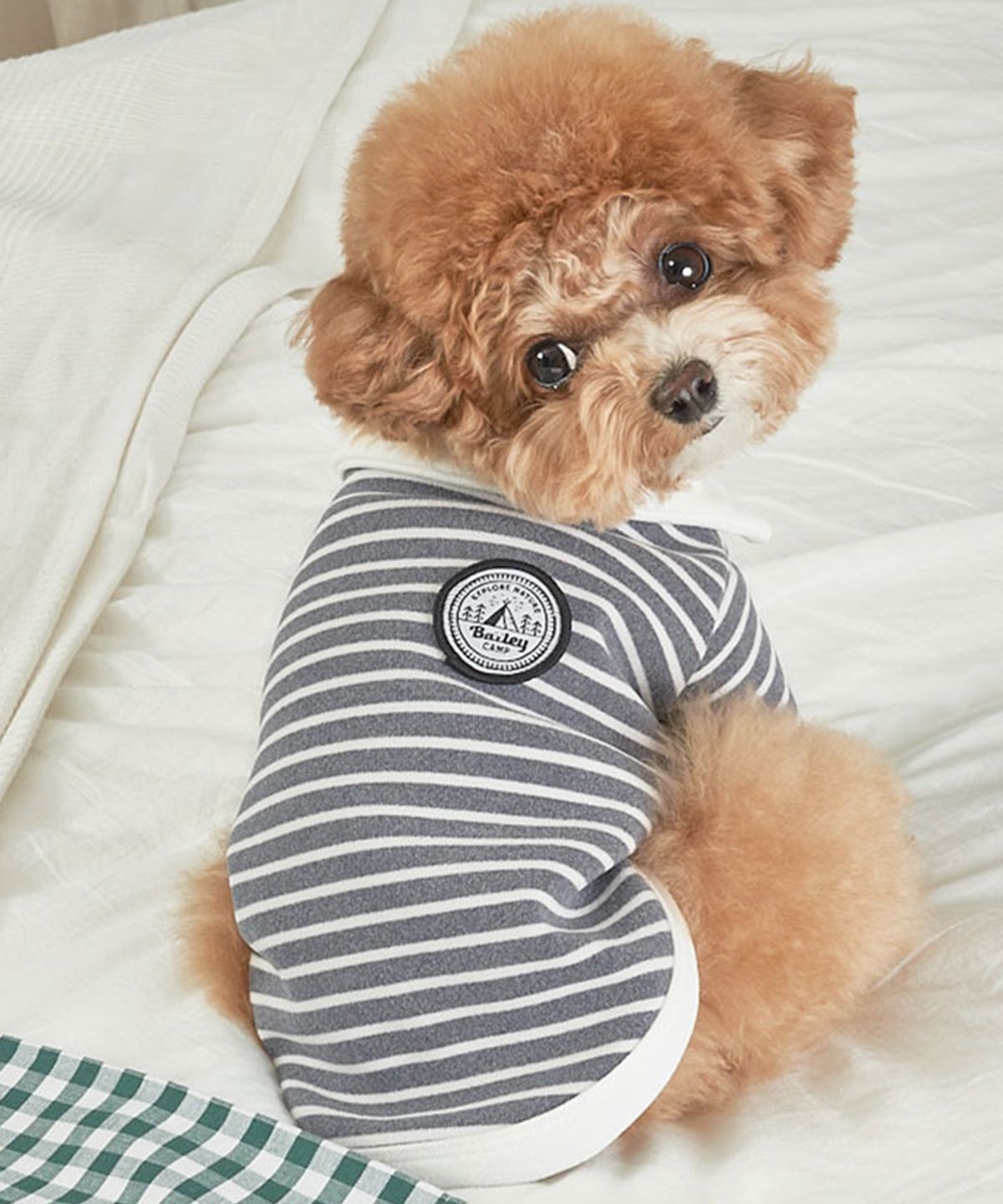 베일리(BAILEY) 강아지옷 실내복 로이카라티 시크그레이
