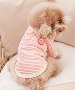 강아지옷 실내복 로이카라티 코랄피치