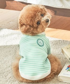 강아지옷 실내복 로이카라티 민트멜론