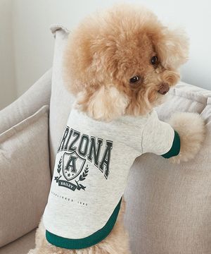 강아지옷 대학 맨투맨 티셔츠 딥그린