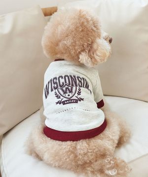 강아지옷 대학 맨투맨 티셔츠 버건디