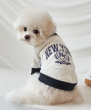 강아지옷 대학 맨투맨 티셔츠 네이비