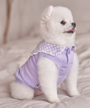 강아지실내복 코지 세라티 라벤더