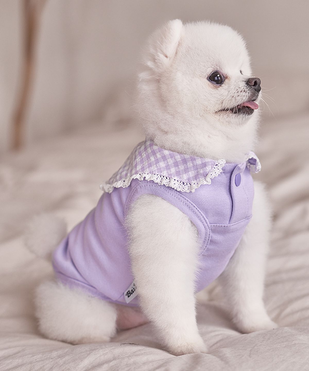 베일리(BAILEY) 강아지실내복 코지 세라티 라벤더