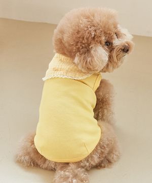 강아지실내복 코지 세라티 옐로우