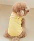 강아지실내복 코지 세라티 옐로우