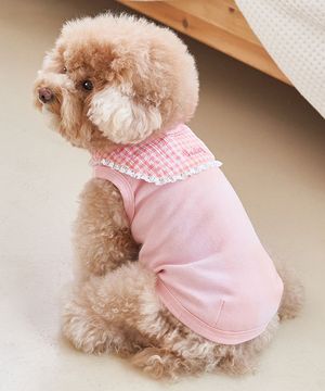 강아지실내복 코지 세라티 핑크