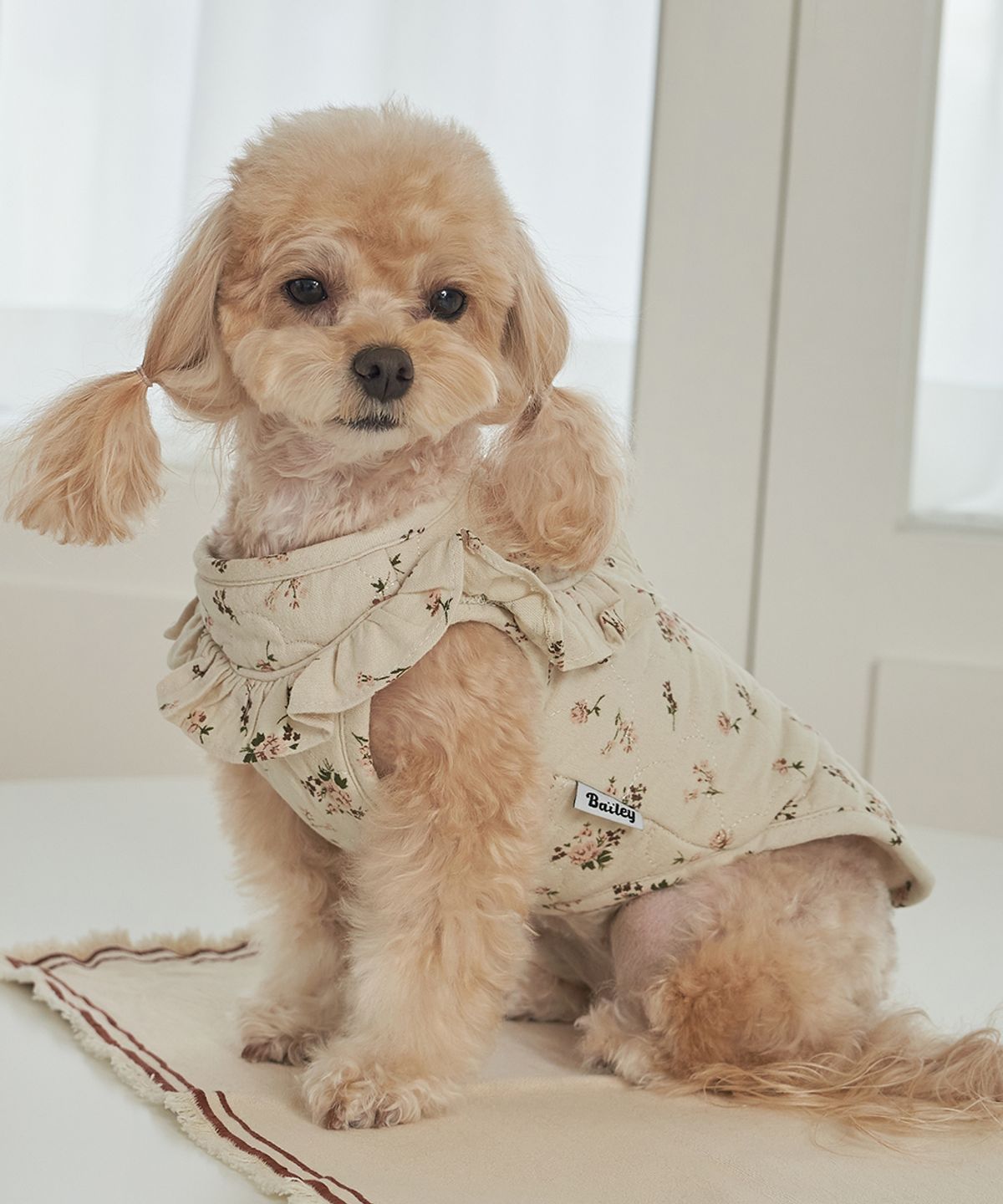 베일리(BAILEY) 강아지 코튼 플라워 누빔 조끼 아이보리